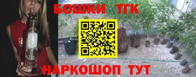 шишки Усть-Илимск