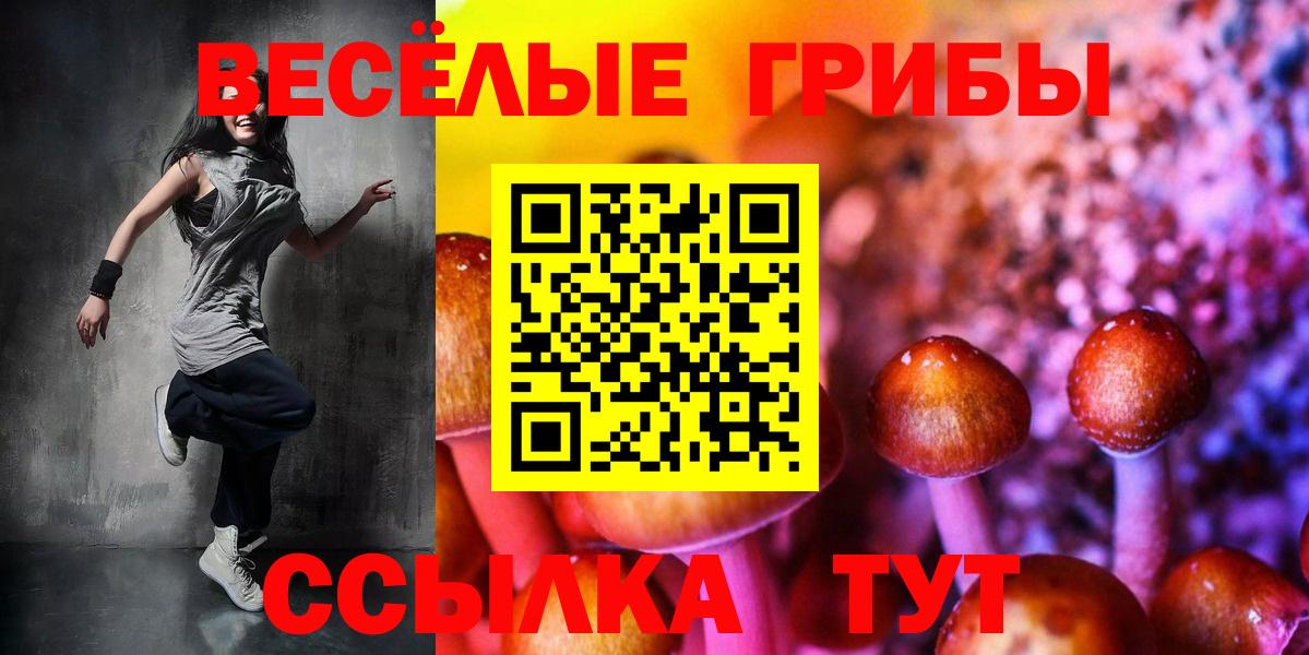 где купить наркотик  Вход с VPN  Воркута  Псилоцибиновые грибы ЛСД  Псилоцибиновые грибы GOLDEN TEACHER 